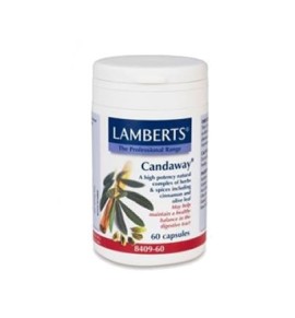 Lamberts Candaway 60 tabs